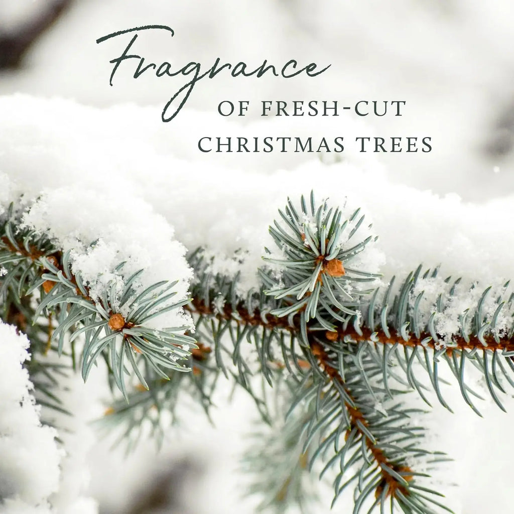 3 Wick Candles - Silver Pine Scent
