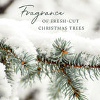 3 Wick Candles - Silver Pine Scent